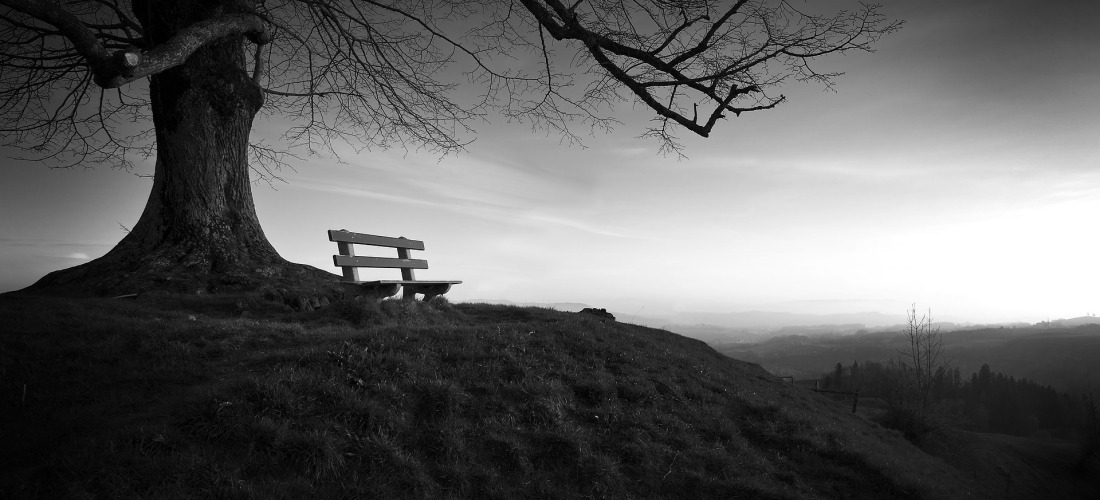 Empty bench atop a hill with a single tree.